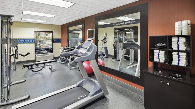 Fitness Center with Treadmill, Weight Machine, Weight Bench and Dumbbell Rack