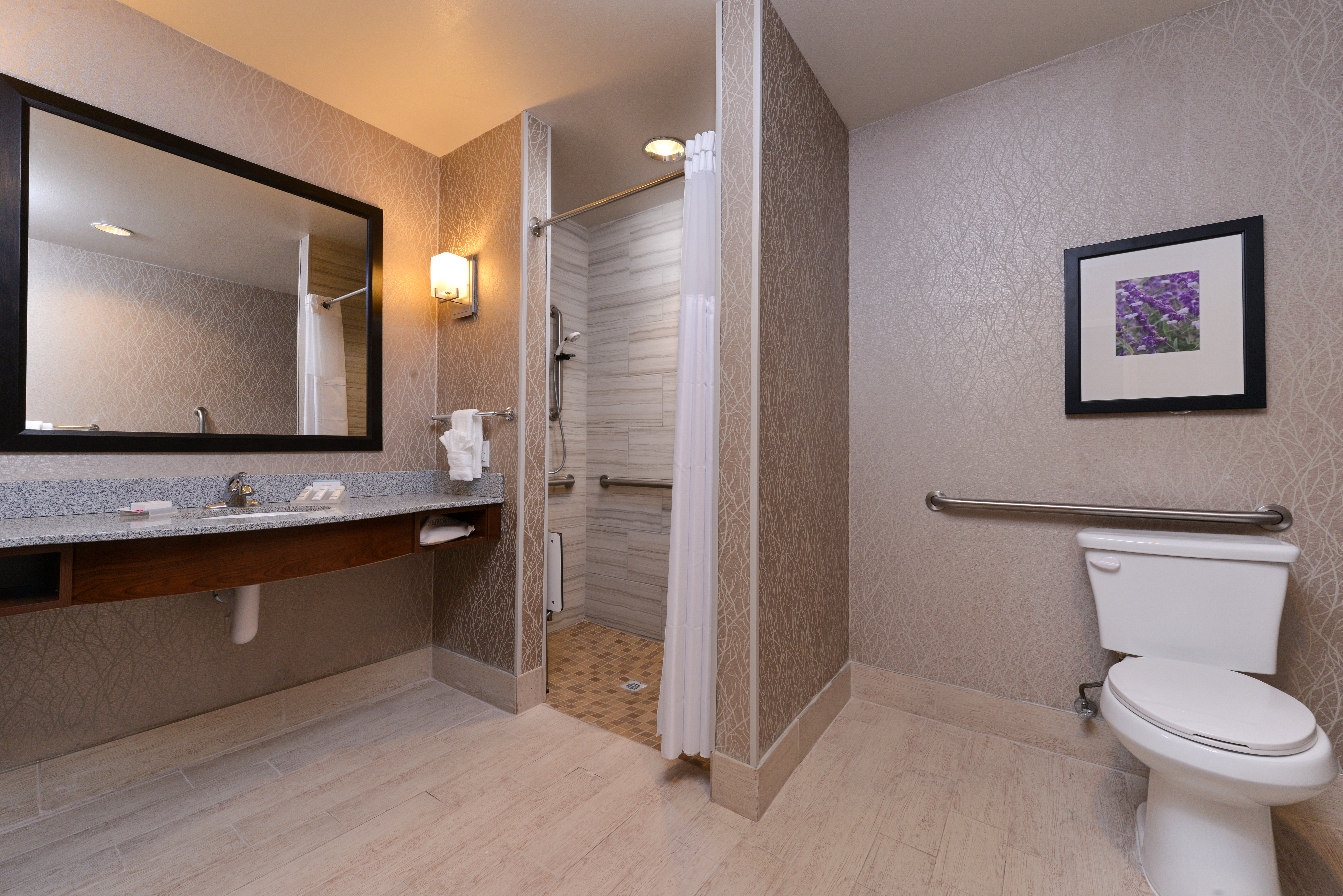 Vanity Mirror, Sink, Towels, Toiletries, Roll-in Shower with Bench, Grab Bars, Handheld Showerhead and Wall Art Above Toilet With Grab Bars in Accessible Bathroom