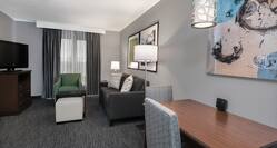 Homewood Suites by Hilton Houston-Clear Lake Hotel, TX - Common Area in Room