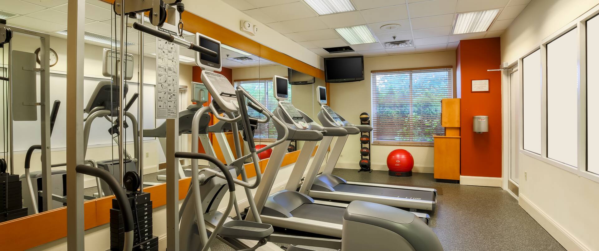 Fitness Center With Weight Machine, Cardio Equipment Facing Mirrored Wall, TV by Window, Weight Balls, and Exercise Ball