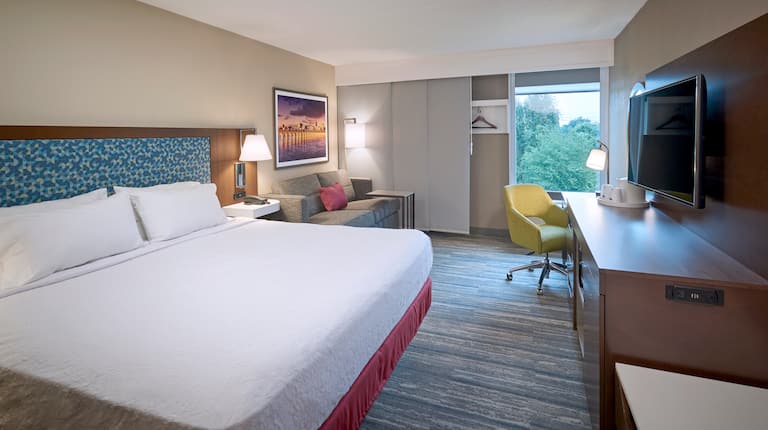 King Guest Room View