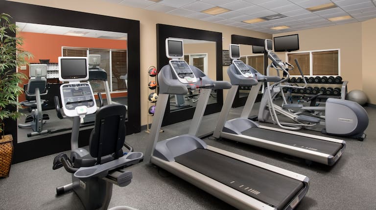 Fitness Center With Large Mirrors, Cardio Equipment TV, Free Weights, and Exercise Ball