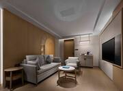 Premium suite living room with wall mounted TV