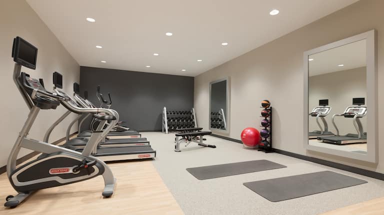 Fitness Center with Treadmills, Cycle Machine, Dumbbell Rack, Weight Bench, Gym Ball and Medicine Ball Rack