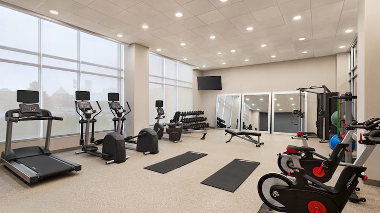 on-site fitness center, Peloton bikes, ellipticals, treadmill, free weights, weight bench