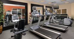 Fitness Center With Cardio Equipment, Large Mirrors With Reflection of Towel Station, Weight Balls, TV, Weight Balls, and Stability Ball