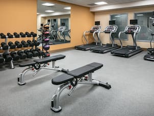 Fitness Center with Dumbbell Rack, Weight Benches and Treadmills