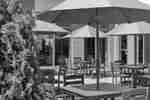 Superbe patio extérieur pour le bar de l'hôtel avec sa végétation luxuriante, ses chaises et ses tables avec parasols.