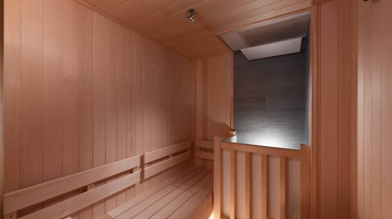 King Deluxe Suite Sauna
