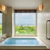 Bathroom with large bath tub and panorama windows