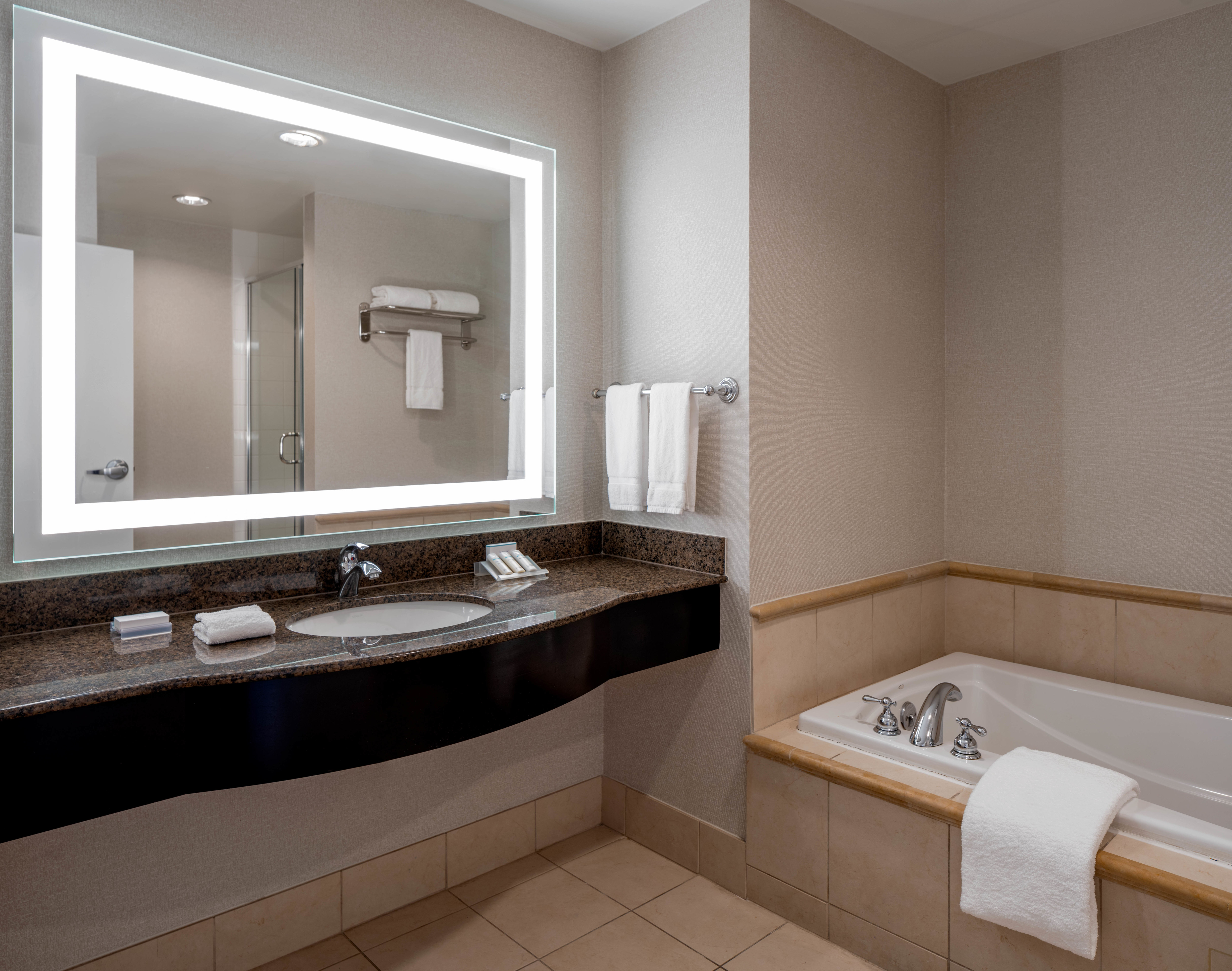 Suite Bathroom with Tub