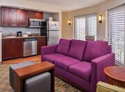 Suite Living Area And Kitchenette