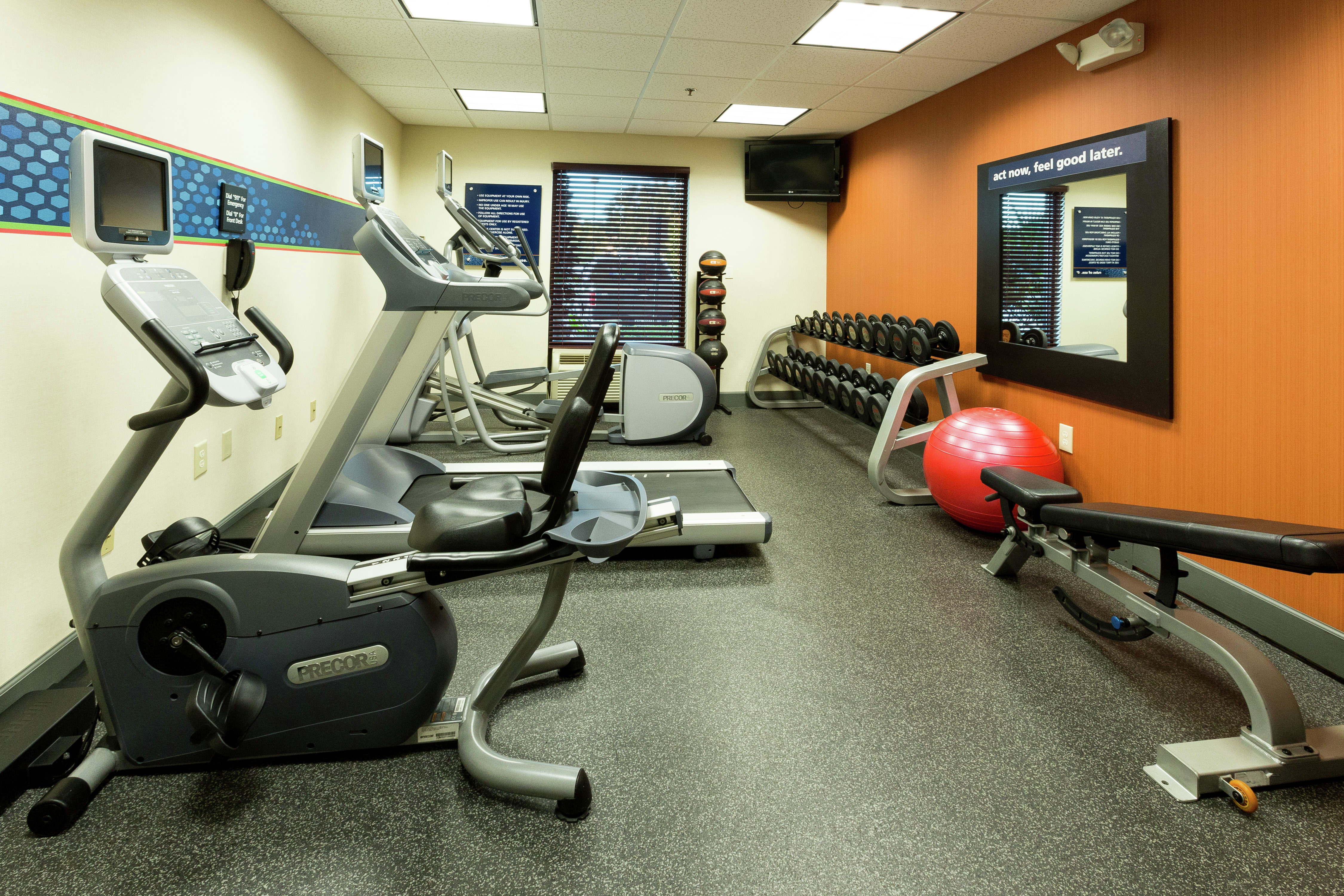 Fitness Center With Weight Balls, TV, Free Weights, Large Wall Mirror, Red Stability Ball, Weight Bench, and Cardio Equipment