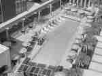 Overhead shot of outdoor pool with loungers