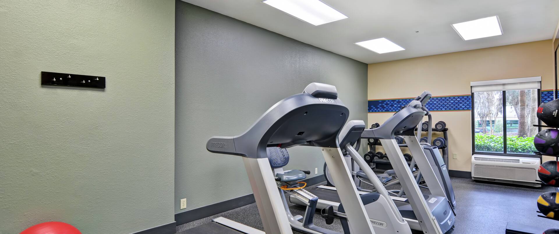 Fitness center with Treadmills and Weights