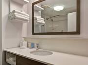 Bathroom Vanity Area  with Large Mirror