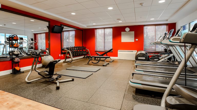 Fitness Center with Treadmills, Weight Benches and Dumbbell Rack
