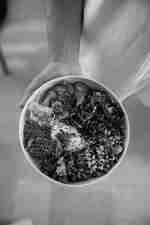 Poke kasesinin yakın çekim görüntüsü 