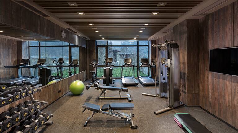 Fitness center cardio and weight machines and free weights bench