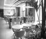 현대식 가구가 구비된 식사 공간 