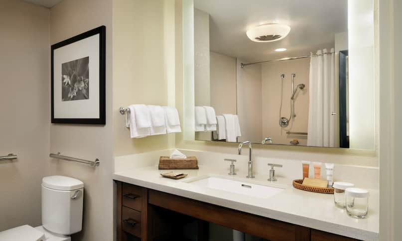 Accessible Guestroom Bathroom with Mirror, Vanity, Toilet, and Roll-In Shower