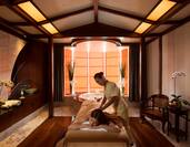 Spa treatment, with masseuse and client