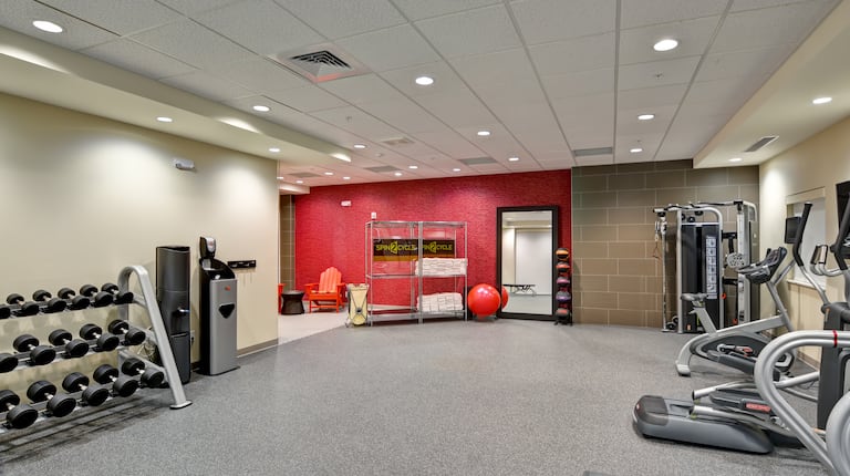 Fitness Center with Dumbbell Rack, Weight Machine and Treadmills