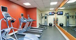 Fitness Center With Cardio Equipment, Weight Machine, TV, Exercise Ball, Weight Balls, and Mirrored Wall