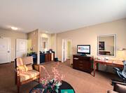 Deluxe Suite Living Area