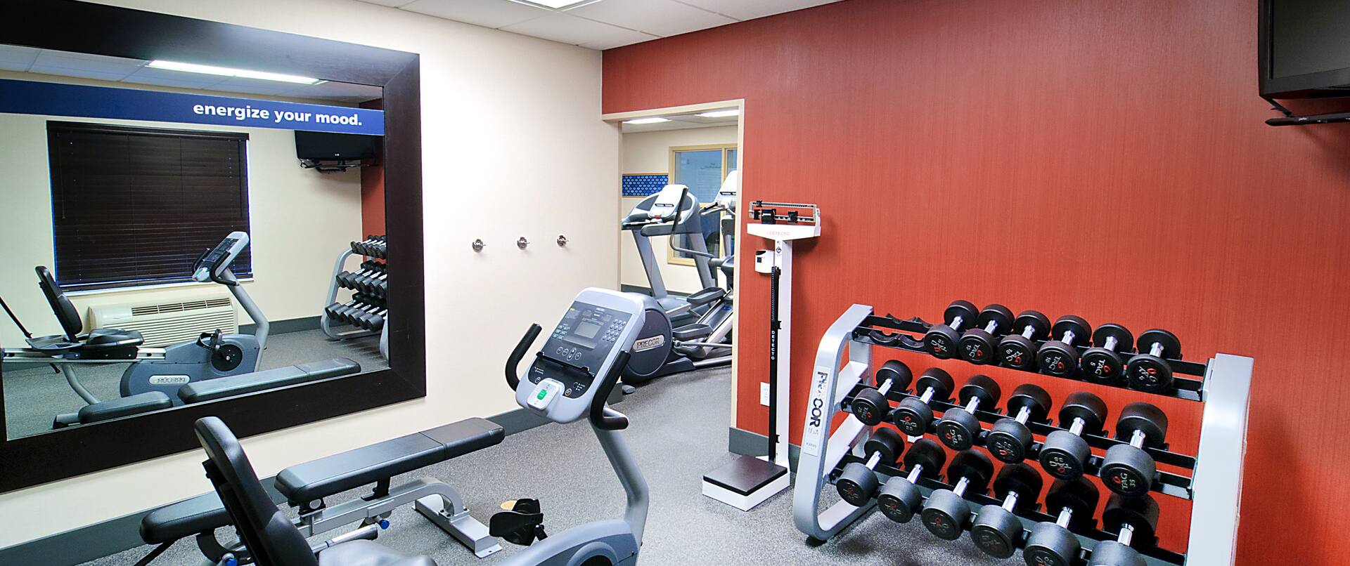 Fitness Center With Weight Bench, Free Weights, Cardio Equipment, Weight Balls, Red Stability Ball, Large Mirror and TV