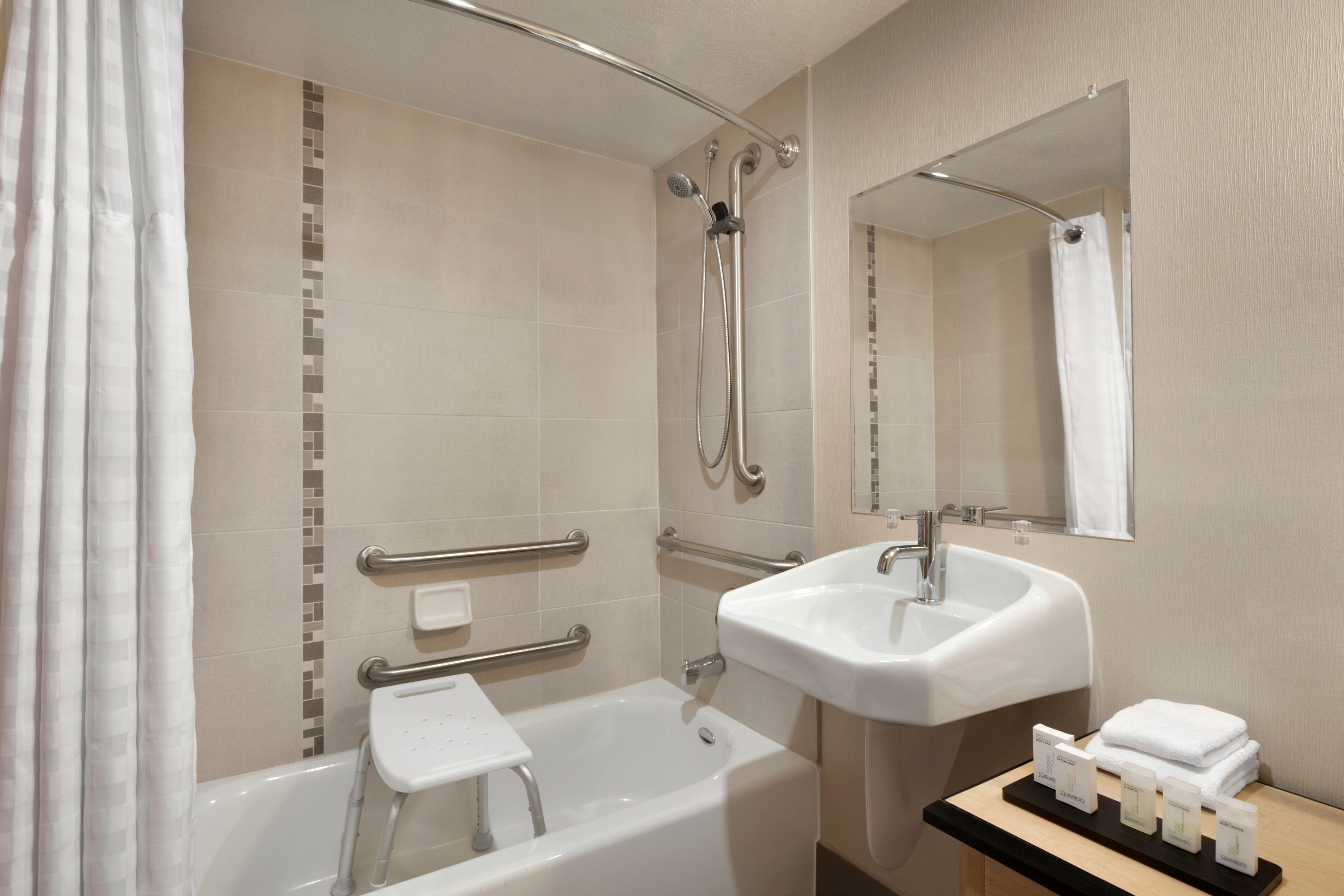 Accessible Guest Bathroom Tub with Handrails and Seat
