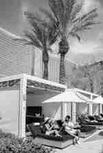 misafir havuz kabanasında kokteyl, şemsiye, palmiye ağaçları