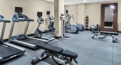 Fitness Center with Treadmills, Weight Benches, Cross-Trainers and Cycle Machine