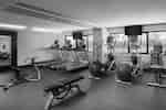 Fitness Center Cardio and Weight Equipment