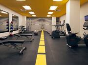 Fitness Center Weight Benches Cardio Machines