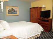 Guestroom with Queen Bed and Television