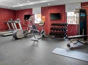 Fitness Center with Treadmills, Cross-Trainer, Cycle Machine, Dumbbell Rack and Weight Bench