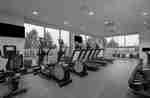 Elliptical Machines Treadmills and Weights in Hotel Fitness Center