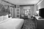 Suite Junior