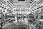 Atrium with beautiful water features