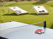 Outdoor Garden with Ping Pong Table