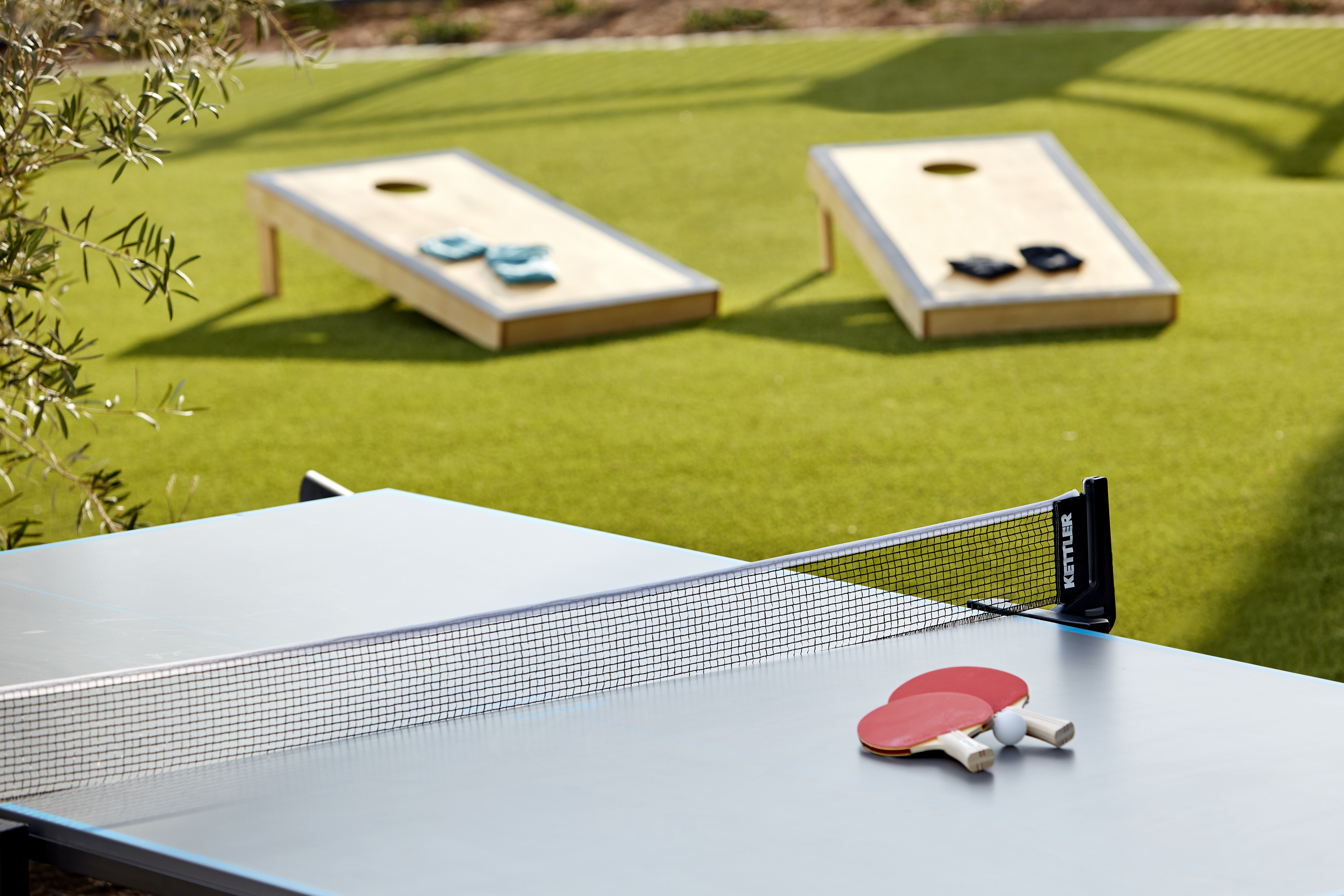Outdoor Garden with Ping Pong Table