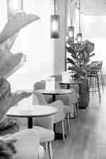 Garden Lounge 酒吧坐席