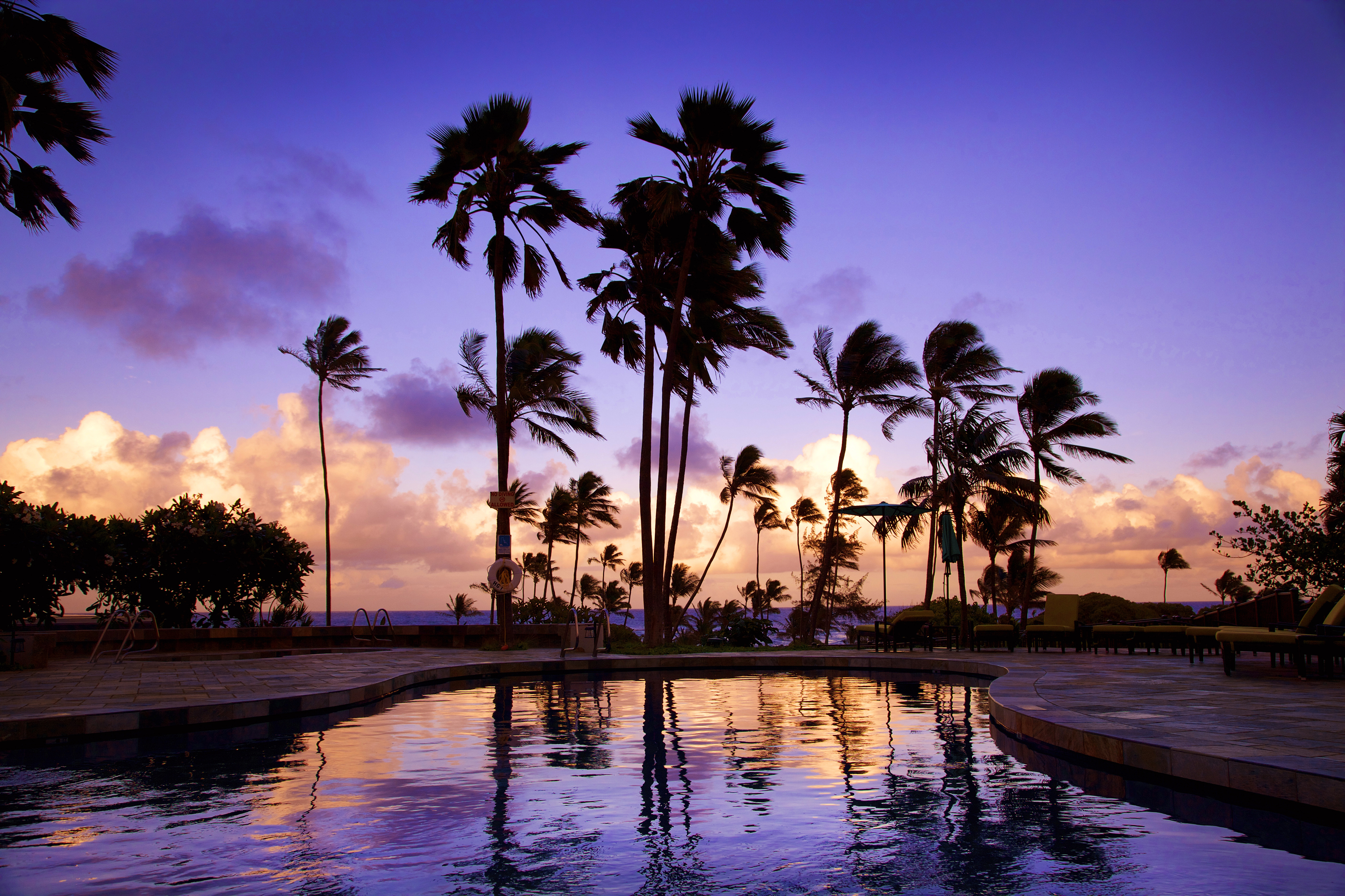 Lounge Chairs, Sun Umbrella, and Outdoor Pool Surrounded by Palm Trees at Sunset