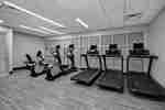 Fitness Center Cardio Equipment