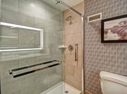 Suite Bathroom Shower