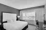 Queen Executive Guestroom