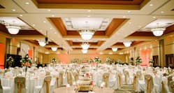 Full Ballroom Reception, View of Tables