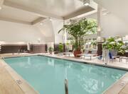 Six Lounge Chairs and Potted Trees by Indoor Pool With Large Windows