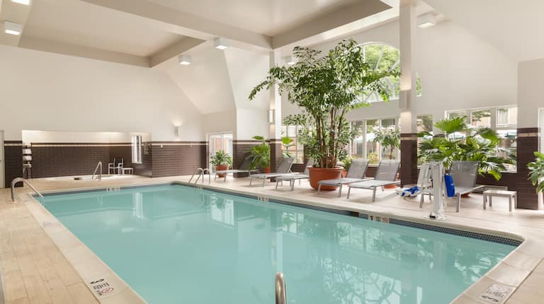 Six Lounge Chairs and Potted Trees by Indoor Pool With Large Windows